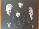 THE CHARITY CASE - How To Fall LP (New) Sting-Rays PSYCH / TRASH / BEAT