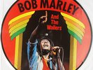 ** Bob Marley And The Wailers - Same / Picture Disc LP DK ca. 1982 RAR **