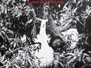 KEITH HUDSON - Flesh Of My Skin Blood Of My Blood LP - Basic Replay Channel -NEW