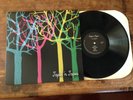 Tapes 'n Tapes – The Loon LP XL LP 202  Indie Rock - White Stripes  Played Once
