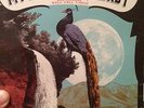 My Morning Jacket 3rd Annual Roll Call 7-Inch Limited Edition