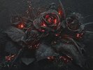 Future - Evol