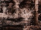 Anglagard - Epilog - Bonustrack - Digi Pack                                (neu)