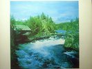 LP MARTTI POKELA - kantele of finland
