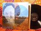 NEIL YOUNG Dreamin' Man LIVE '92 180 Gram 511277-1 NYA Series Gatefold LP NICE