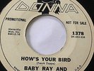 RARE SURF GARAGE PROMO 45/ BABY RAY & FERNS (ZAPPA) 