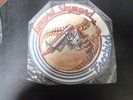 LYNYRD SKYNYRD FREEBIRD PICTURE DISC NM VINYL