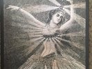 Neutral Milk Hotel Vinyl Record Box Set