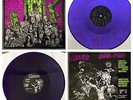 MISFITS Earth A.D. Wolfs Blood Plan 9 1983 First Press PURPLE VINYL Earth AD