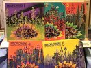 M- 5 LPs Wildflowers New York Loft jazz Sessions ROSCOE MITCHELL JULIUS HEMPHILL