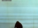 FOALS**WHAT WENT DOWN (180 G/GATEFOLD)**VINYL