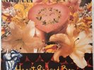 Nirvana - Heart Shaped box - Geffen Transparent Red Vinyl 7
