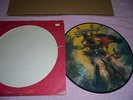 MOLLY HATCHET.  FLIRTIN WITH DISASTER. PICTURE DISC RARE PROMO copy