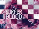 Surfer Blood- Astro Coast Vinyl LP (2012) NEW/SEALED OOP