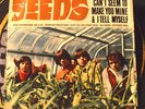 RARE 45 - THE SEEDS - CAN'T SEEM TO MAKE YOU MINE /I TELL MYSELF Pic Sleeve HEAR
