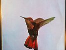 PAUL GONSALVES Hummingbird RARE UK Deram 1970 Jazz LP- RARE