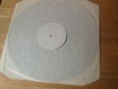 The Fall Frenz Experiment Test Pressing
