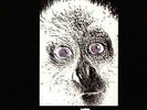 E. A. POE: Generazioni (Storia di sempre)  good progressive from Italy LP  Neu