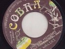 '74 COBRA REGGAE 45 FAMILY MAN BARRETT & THE WAILERS EASTERN MEMPHIS ?