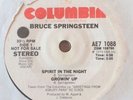  Promo-Only Bruce Springsteen 7