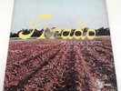 GRUPO ARADO Abriendo Surcos en los Corazones PUERTO RICO LP Christian Music rare