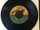 Leroy Smart - Zion, Andinet Label - EX Condition  Repress