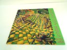 Screaming Trees ?- Invisible Lantern ORIG. US LP