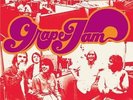 MOBY GRAPE: Grape jam (1968); Sundazed LP  LP NEU