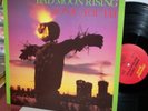 Sonic Youth: Bad Moon Rising LP Homestead