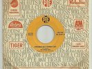 Status Quo RARE Lebanese Pye 45 Pictures Of Matchstick Men LSN? 60s Garage Psych