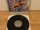 STONE ROSES FOOLS GOLD WHAT THE WORLD IS FOR WAITING VINYL 12