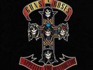 Appetite for Destruction - Guns N' Roses LP