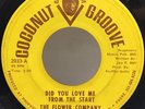 FLOWER COMPANY Did You Love Me From Start COCONUT GROOVE Michigan GARAGE Psych