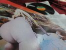 LED ZEPPELIN     