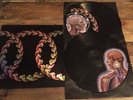 TOOL ***LATERALUS *** DOUBLE LP PICTURE DISC VINYL Maynard Adam Jones