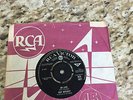skip bifferty cover girl rca ex