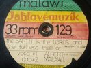 Albert Malawi The Earth Is The Lords Orig Treasure Isle 10