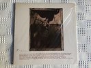 Pixies  Surfer Rosa  Vinyl Vinilo LP