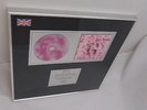 Garbage BPI Award England Platin 