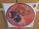 DAVID BOWIE - THE MAN WHO SOLD THE WORLD - LP PICTURE DISC RSD 2016