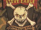 STEVE EARLE - COPPERHEAD ROAD - VINYL