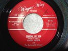Harry Snyder 45 Wayne-Way 103 Someone Like You/This Ole House (Statler Bros) E+