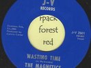 THE MAGNETICS - Wasting Time - J - V -  Northern Soul   7