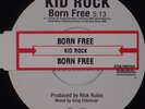 KID ROCK: Born Free 2010 Rare Limited NEAR MINT 45 w/ Juke Strip Vinyl Record