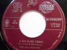 COLLEGIATES 45 A Kid In His Teens / Teenage Plea NEAR MINT Doo Wop ORIG e7413