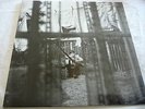 paul mccartney CHAOS AND CREATION VINYL