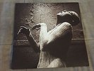Tool - Salival - Vinyl LP record - 12