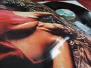 ROXY MUSIC (ENO) 