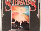 Grave New World  Strawbs Vinyl Record