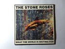 The Stone Roses 'What the world is waiting for'/'Fools gold' 12
